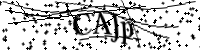 Type de letter hieronder
