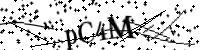 Type de letter hieronder
