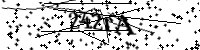 Type de letter hieronder