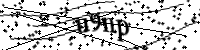 Type de letter hieronder