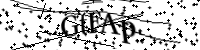 Type de letter hieronder
