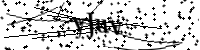 Type de letter hieronder