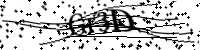 Type de letter hieronder