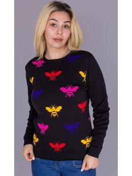 Trui 780 Bee Rainbow Jumper Run & Fly